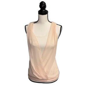 Express Sheer Blush Top
